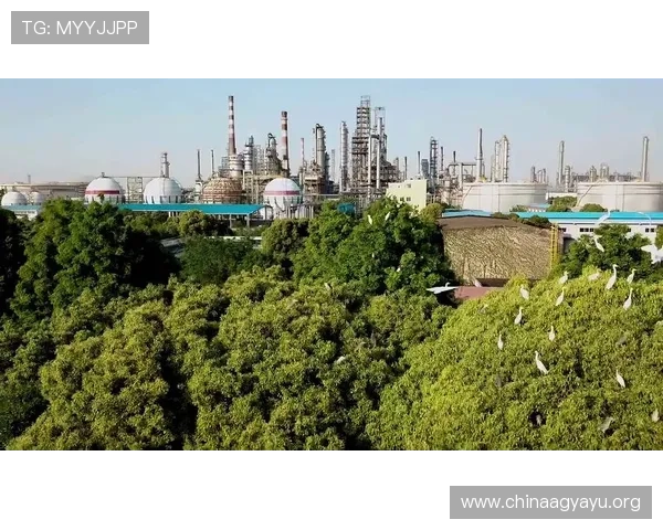 凯发真人国际积极响应国家政策推动行业健康发展实现绿色安全运营目标 凯发真人国际积极响应国家政策推动行业健康发展实现绿色安全运营目标