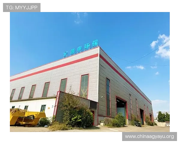 凯发集团官网首页：详细介绍平台的注册流程与用户指南