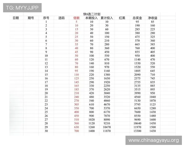百家乐对冲公式的原理与计算方法，帮助玩家科学制定投注计划