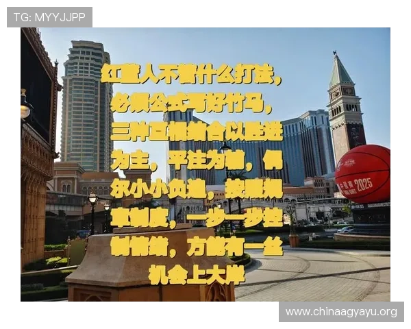全面解析红蓝百家打法技巧让你在游戏中轻松应对各种对手