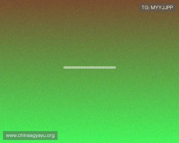瑞典队在世界杯对阵突尼斯的完整球员名单及战术分析，助你提前了解比赛走势